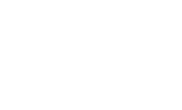 Arc Intelligence